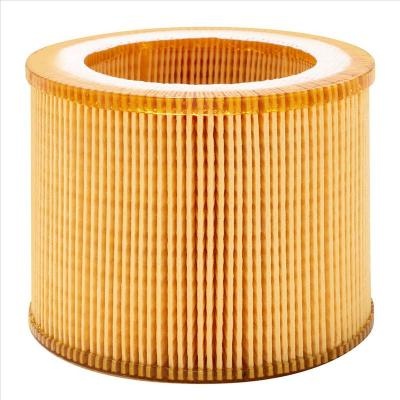 1613900100 Air Filter