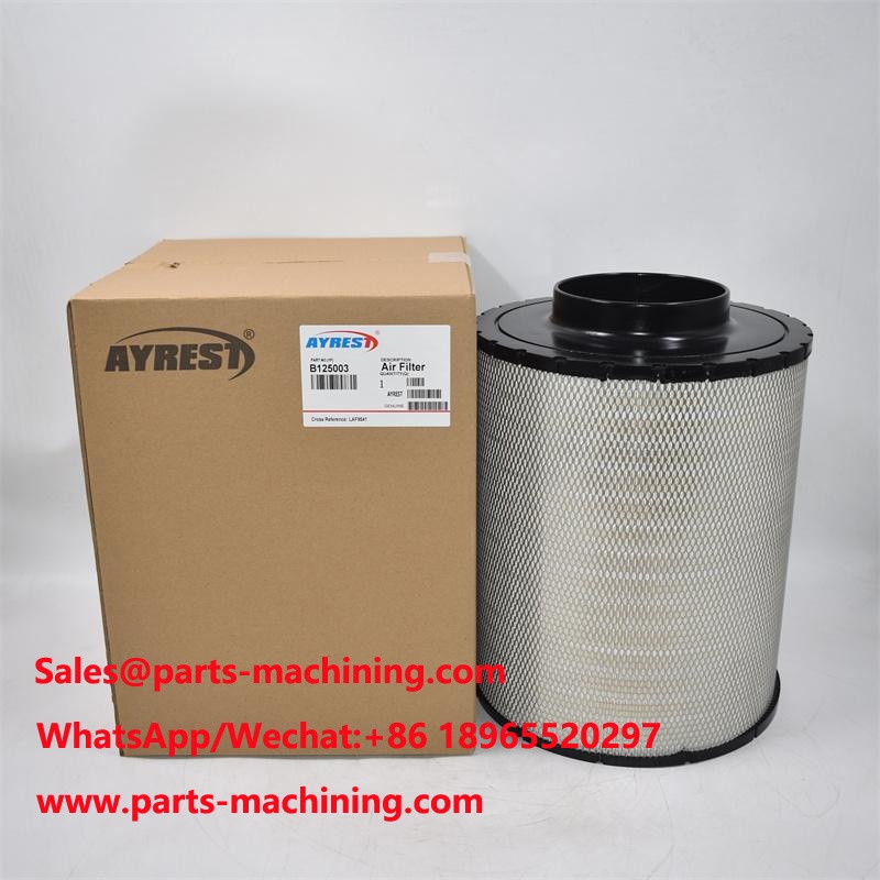 B125003 Air Filter