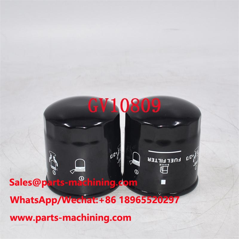 GV10809 Fuel Filter