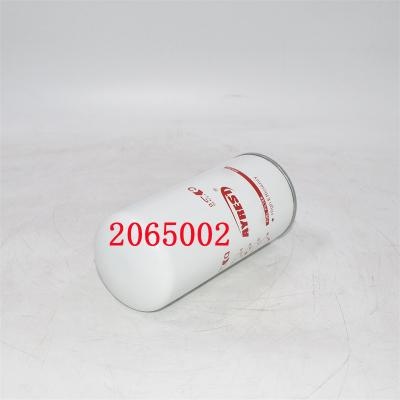 2065002 استبدال فلتر الوقود 2002041593