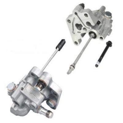 Fuel Pump 21067551