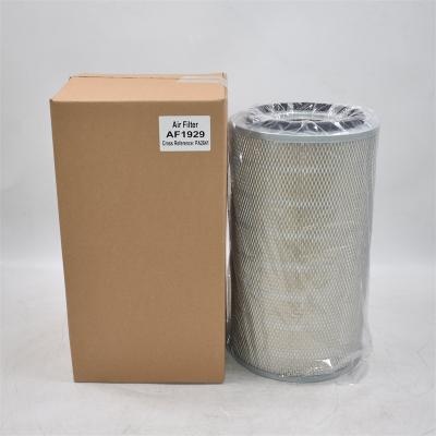 AF1929 Air Filter